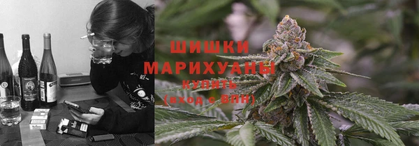 спиды Иннополис